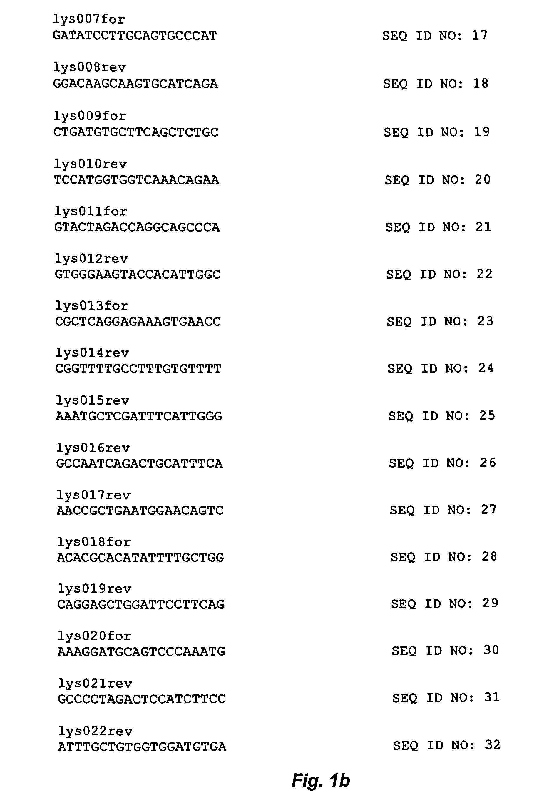 Avians containing a lysozyme promoter transgene