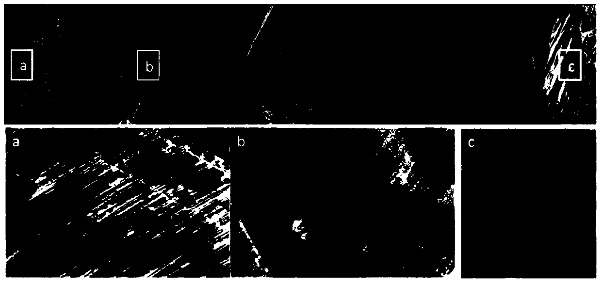 Preparation method of high-strength and high-plasticity 304 austenitic stainless steel with low martensite content