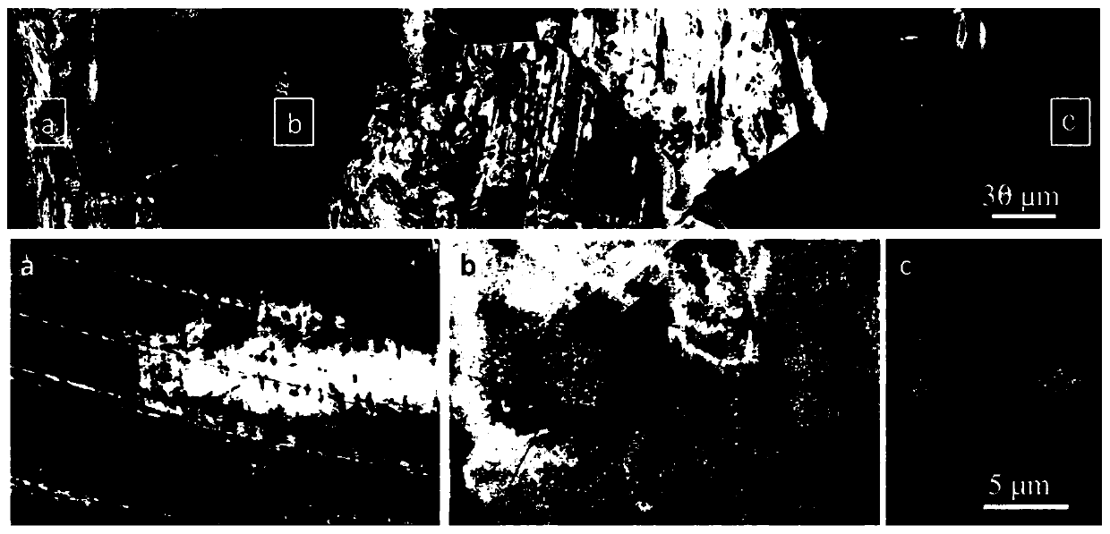 Preparation method of high-strength and high-plasticity 304 austenitic stainless steel with low martensite content