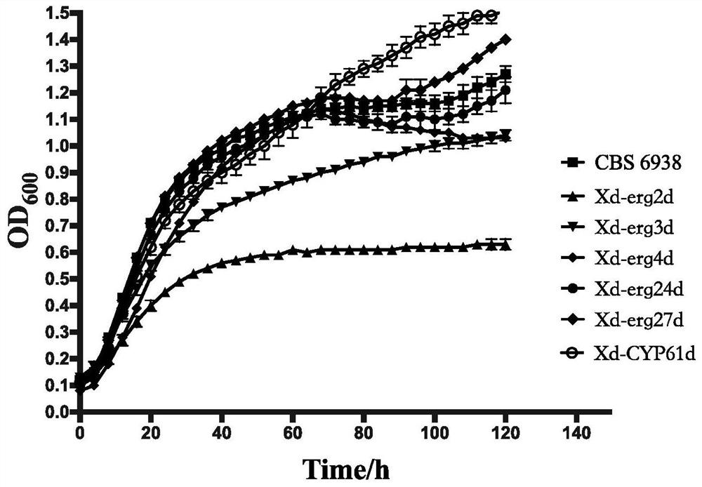 Method for increasing yield of phaffia rhodozyma astaxanthin