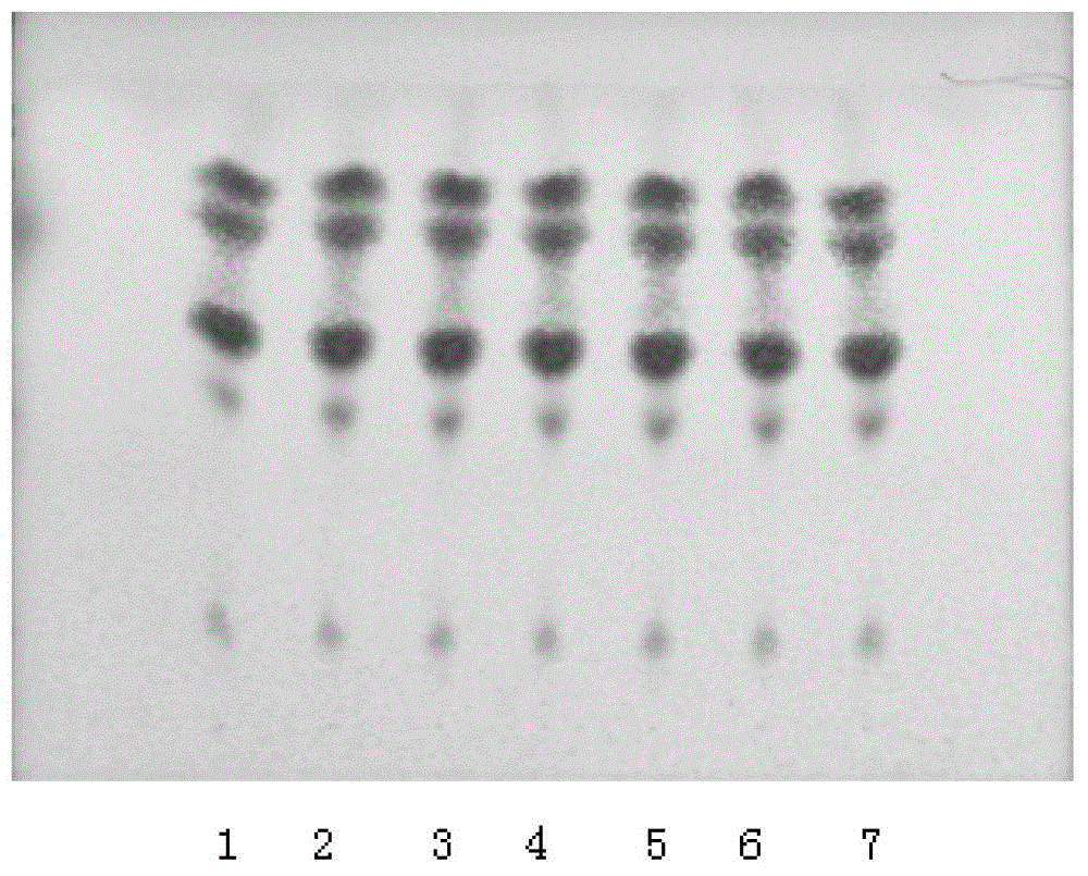 Mantis egg-case formula granules, and preparation method and quality control method thereof