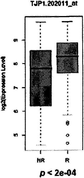 Tumour chemotherapy drug sensitive gene and application of same