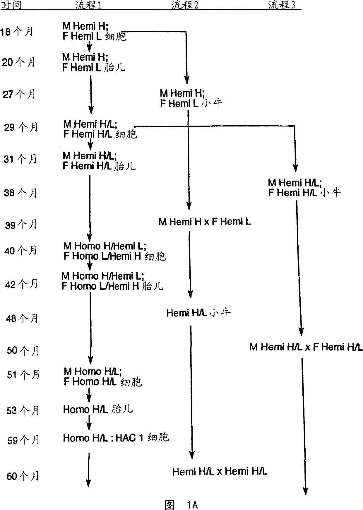 Transgenic ungulates having reduced prion protein activity and uses thereof