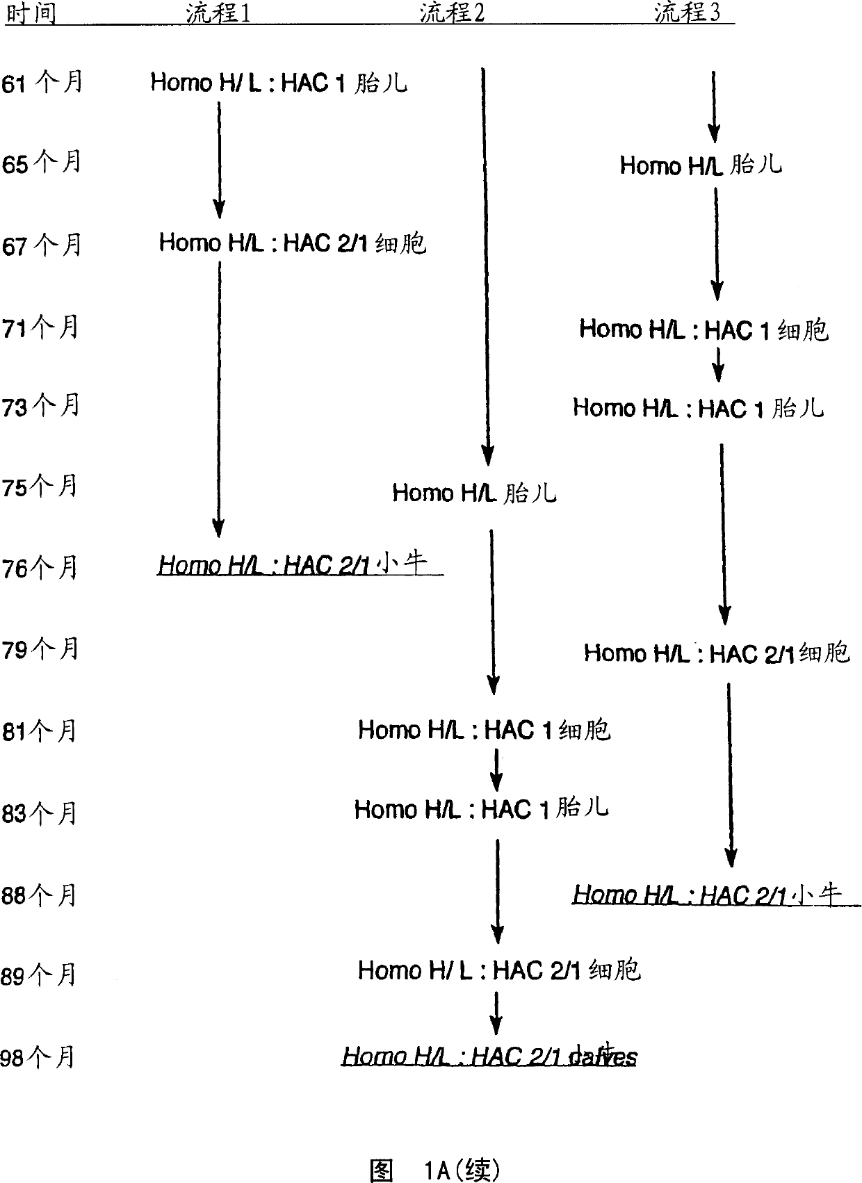 Transgenic ungulates having reduced prion protein activity and uses thereof