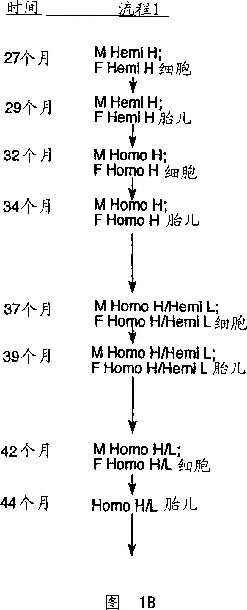 Transgenic ungulates having reduced prion protein activity and uses thereof