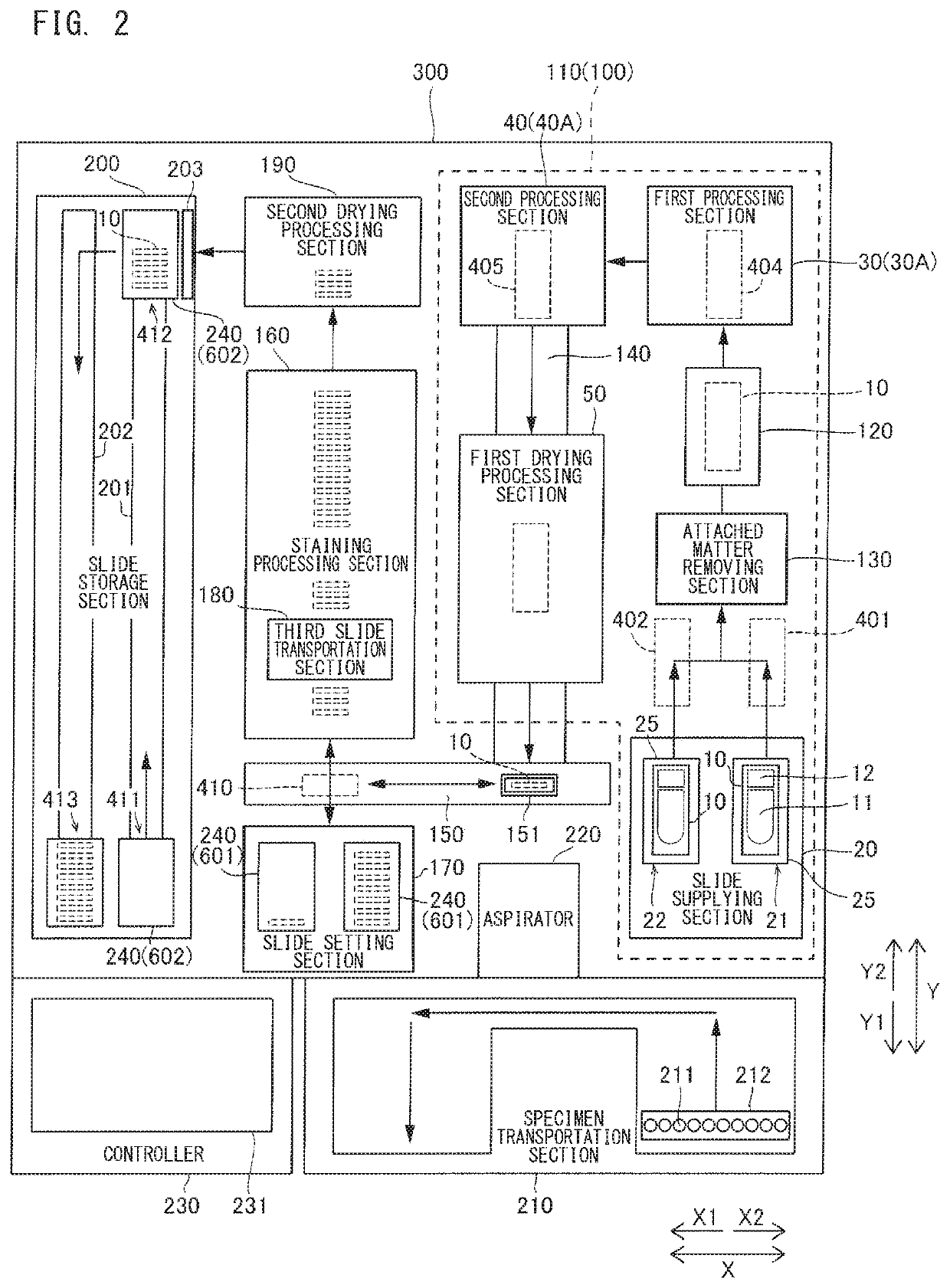 Specimen smearing apparatus, specimen smearing method, smear sample preparing apparatus, and smear sample preparing method