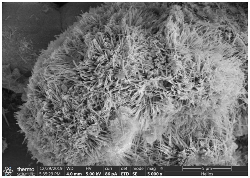 Sea urchin-shaped cobalt-based photocatalyst and preparation method thereof