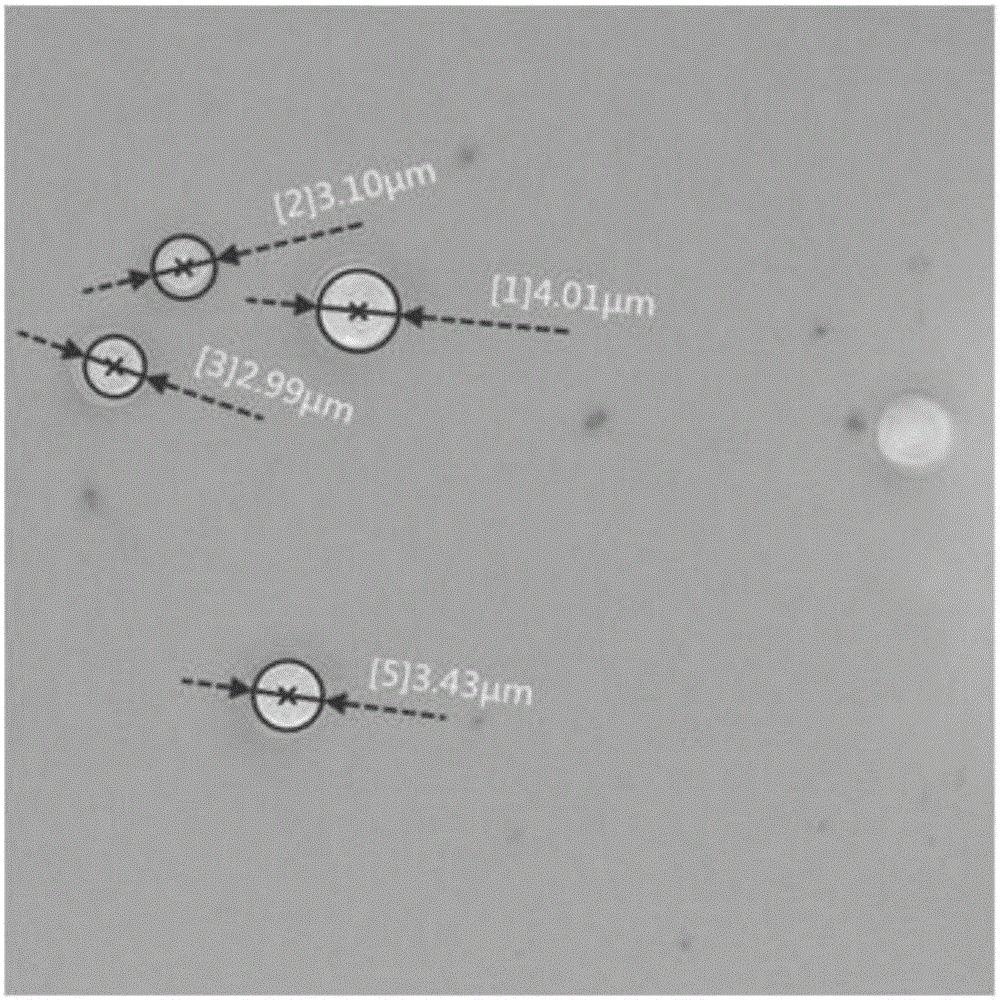 BMP-2/PPLA (bone morphogenetic protein-2/polylactic acid and polyethylene glycol block copolymer) microspheres and preparation method thereof