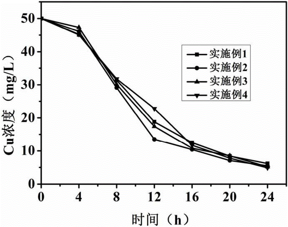 A method of removing sulfates and Cu (II) in waste water through combining sponge iron and microbes