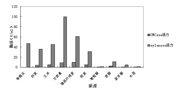 Method for using transgenic Coprinus cinereus to efficiently express recombinant enzyme