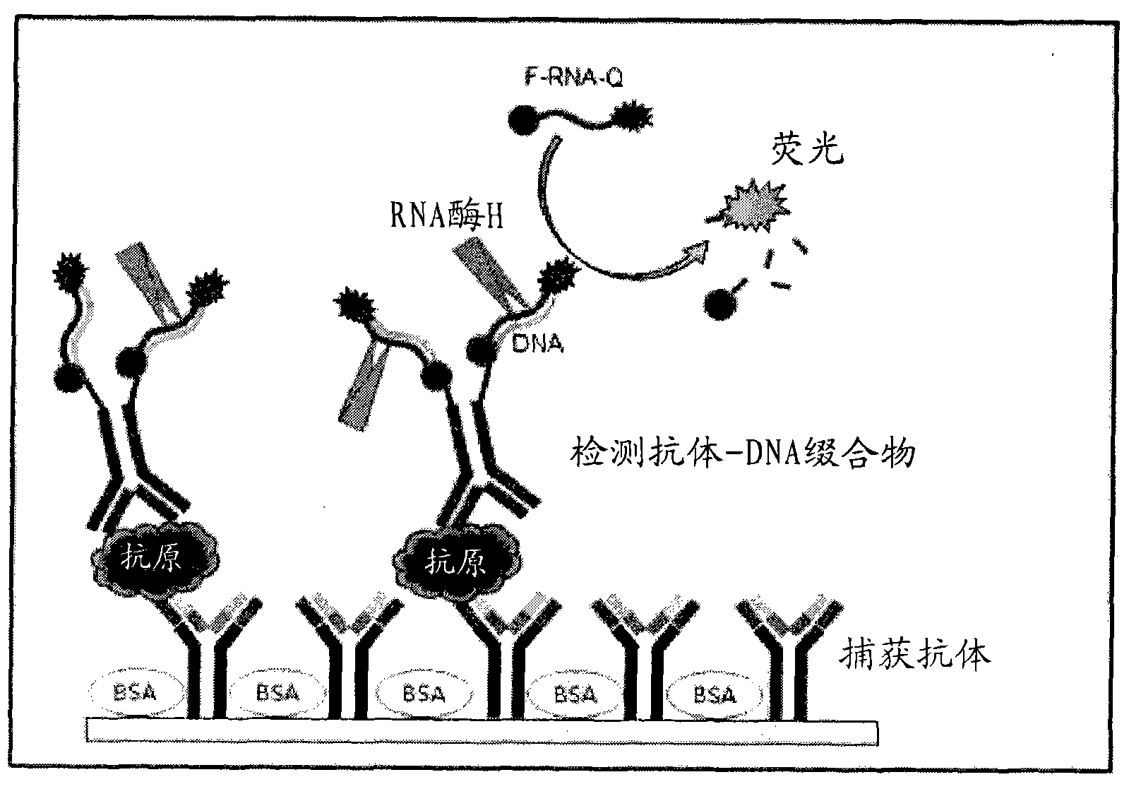 Antigen detection kit and method