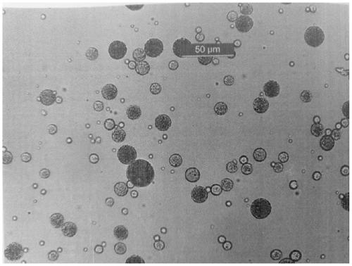 Preparation method of microspheres capable of increasing entrapment efficiency of hydrophilic medicines