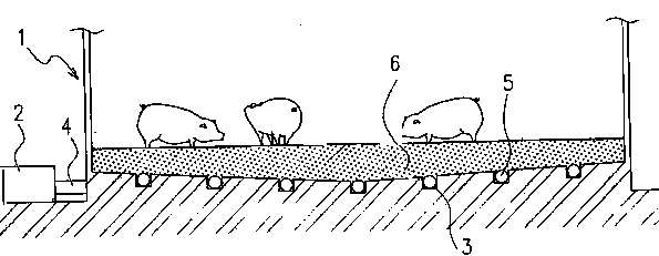 Special primitive ecological microbial farming method for pigs