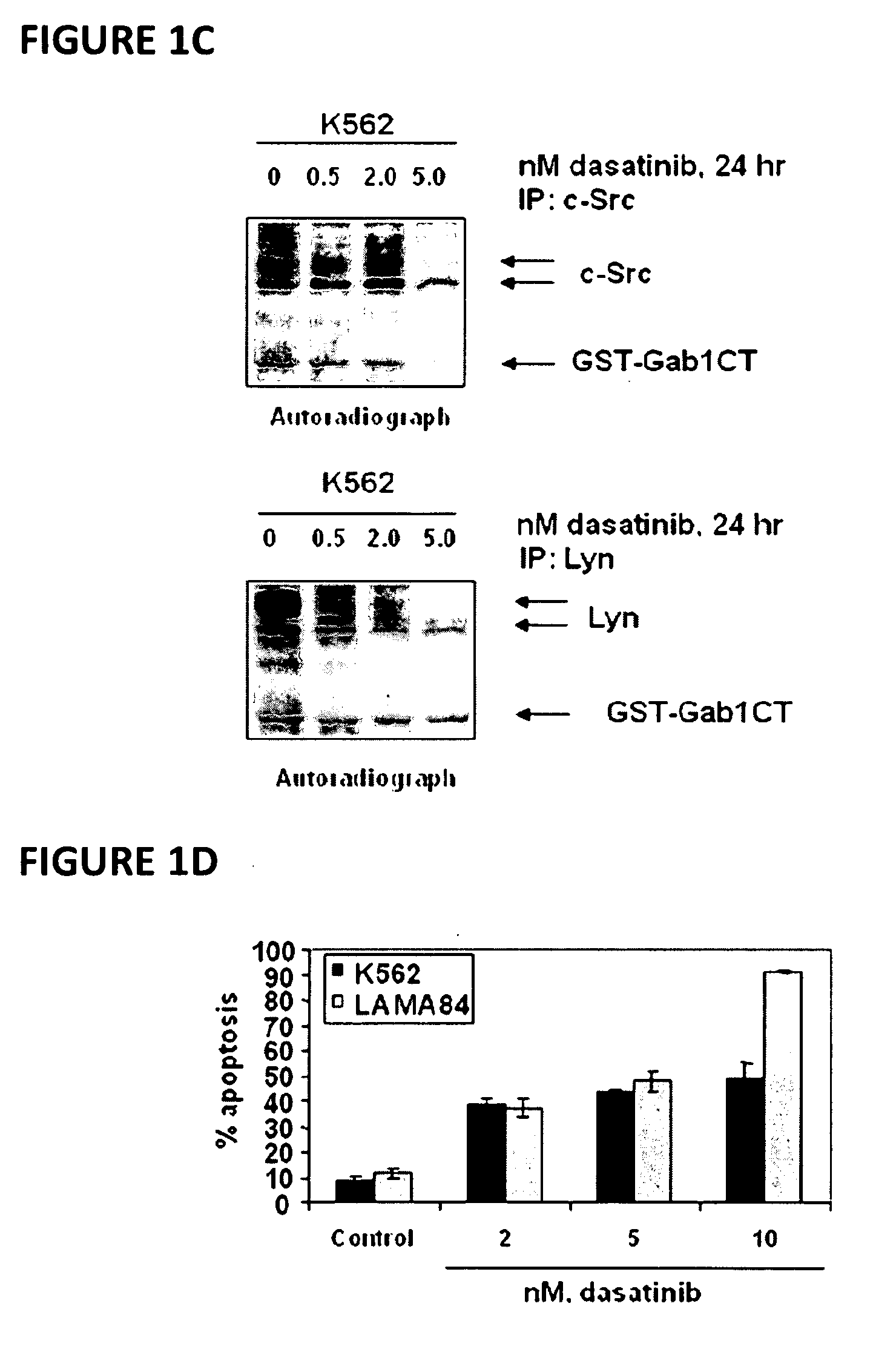 Method of treating chronic myelogenous leukemia cells