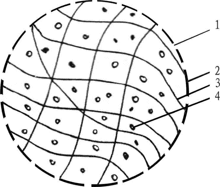 Controlled releasing microcapsule for scale prevention, wax prevention or viscosity reduction of oil well