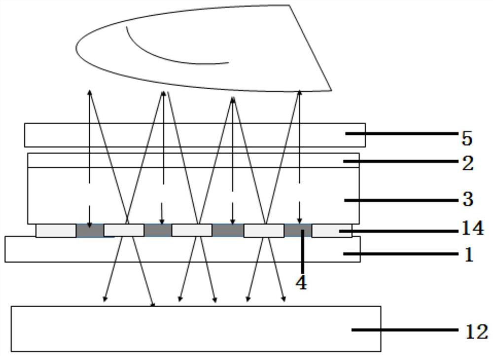 OLED screen used as light source for fingerprint identification device and optical fingerprint identification device