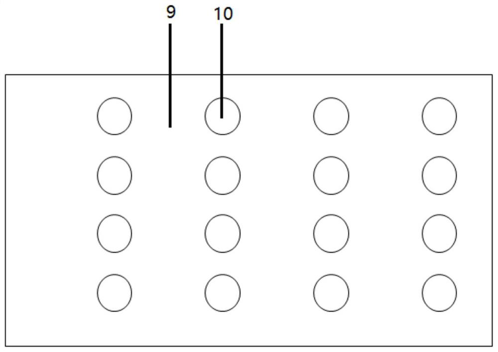 OLED screen used as light source for fingerprint identification device and optical fingerprint identification device