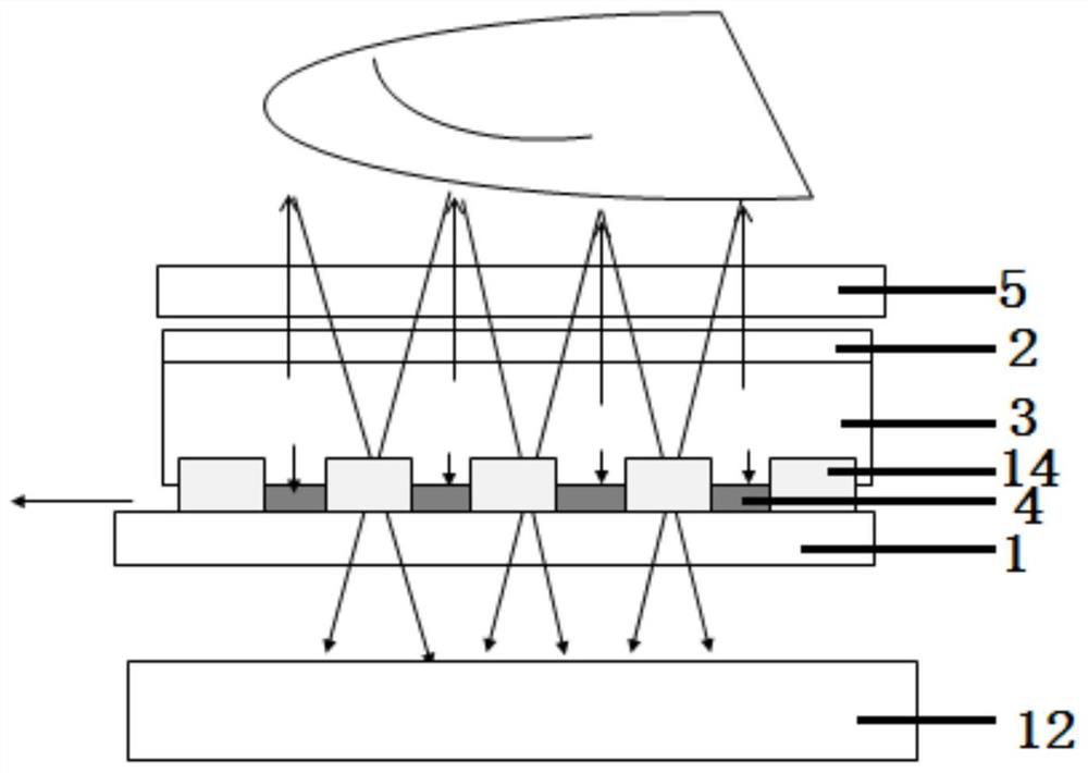 OLED screen used as light source for fingerprint identification device and optical fingerprint identification device