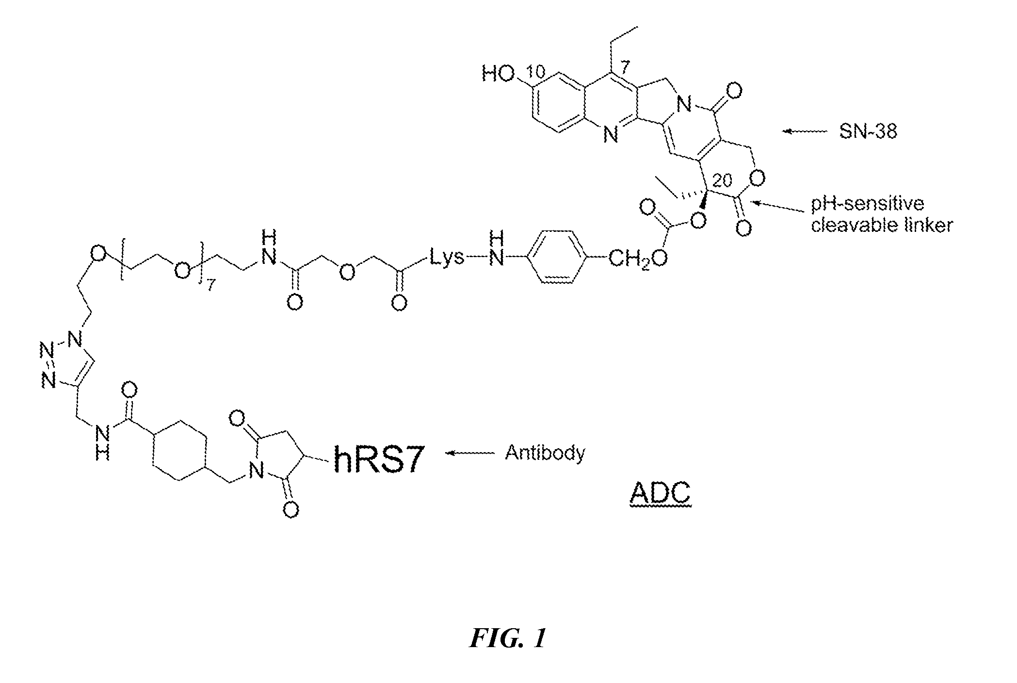 Neoadjuvant use of antibody-drug conjugates