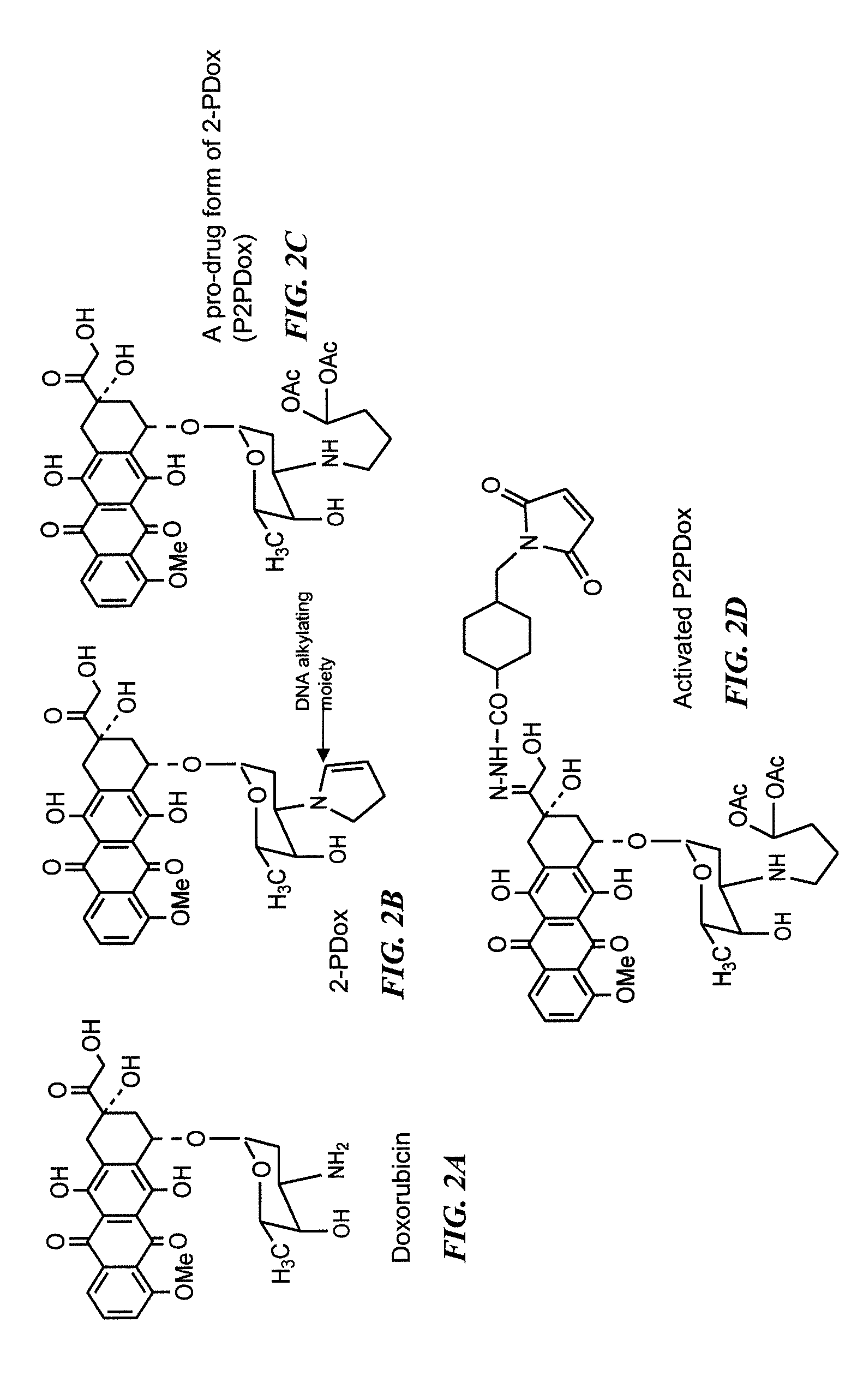 Neoadjuvant use of antibody-drug conjugates