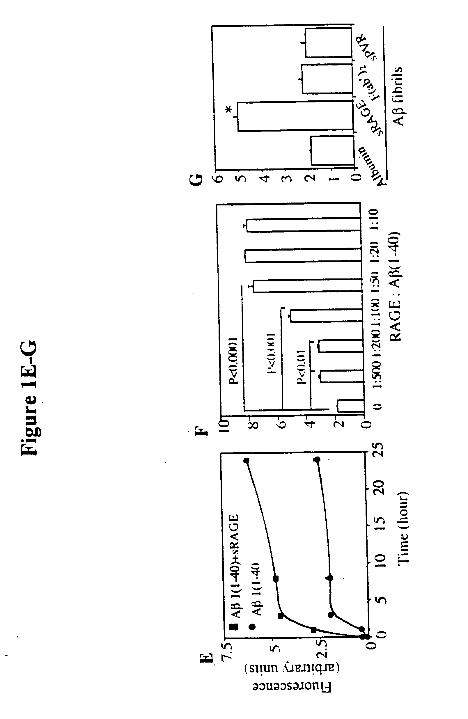 Methods of inhibiting binding of beta-sheet fibril to rage and consequences thereof