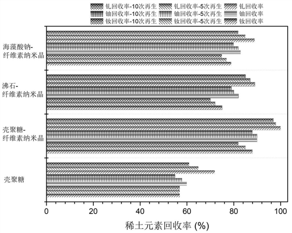 Cellulose nanocrystalline loaded chitosan adsorbent and application thereof in recycling rare earth elements in sewage