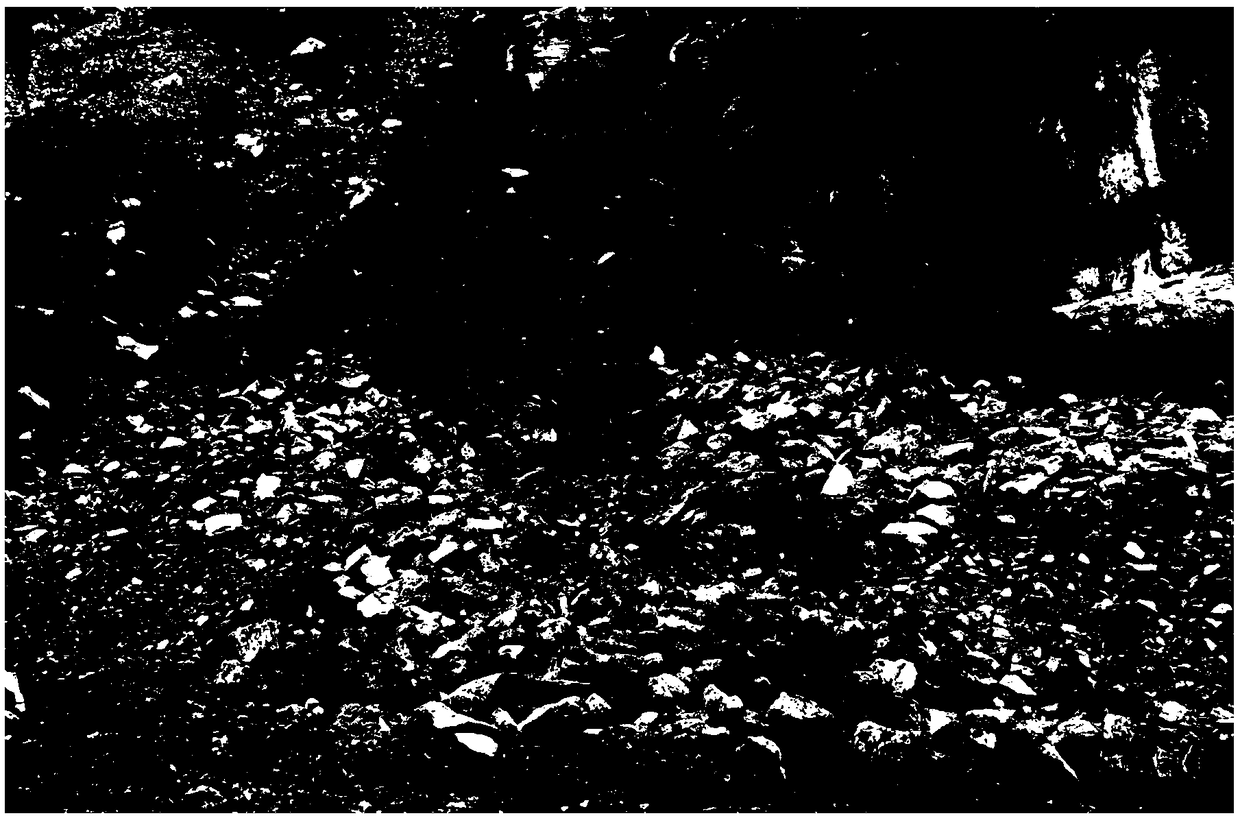 Macadam slope vegetation recovery structure and construction method