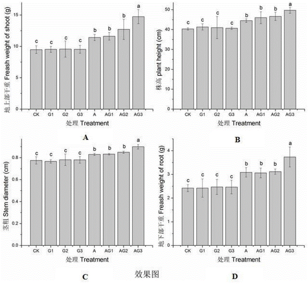 A kind of nano goethite-amino acid compound foliar fertilizer, preparation method and application