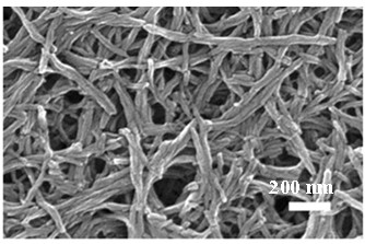 Sulfonic self-doped aniline copolymer with controllable nanometer structure and synthesis method thereof