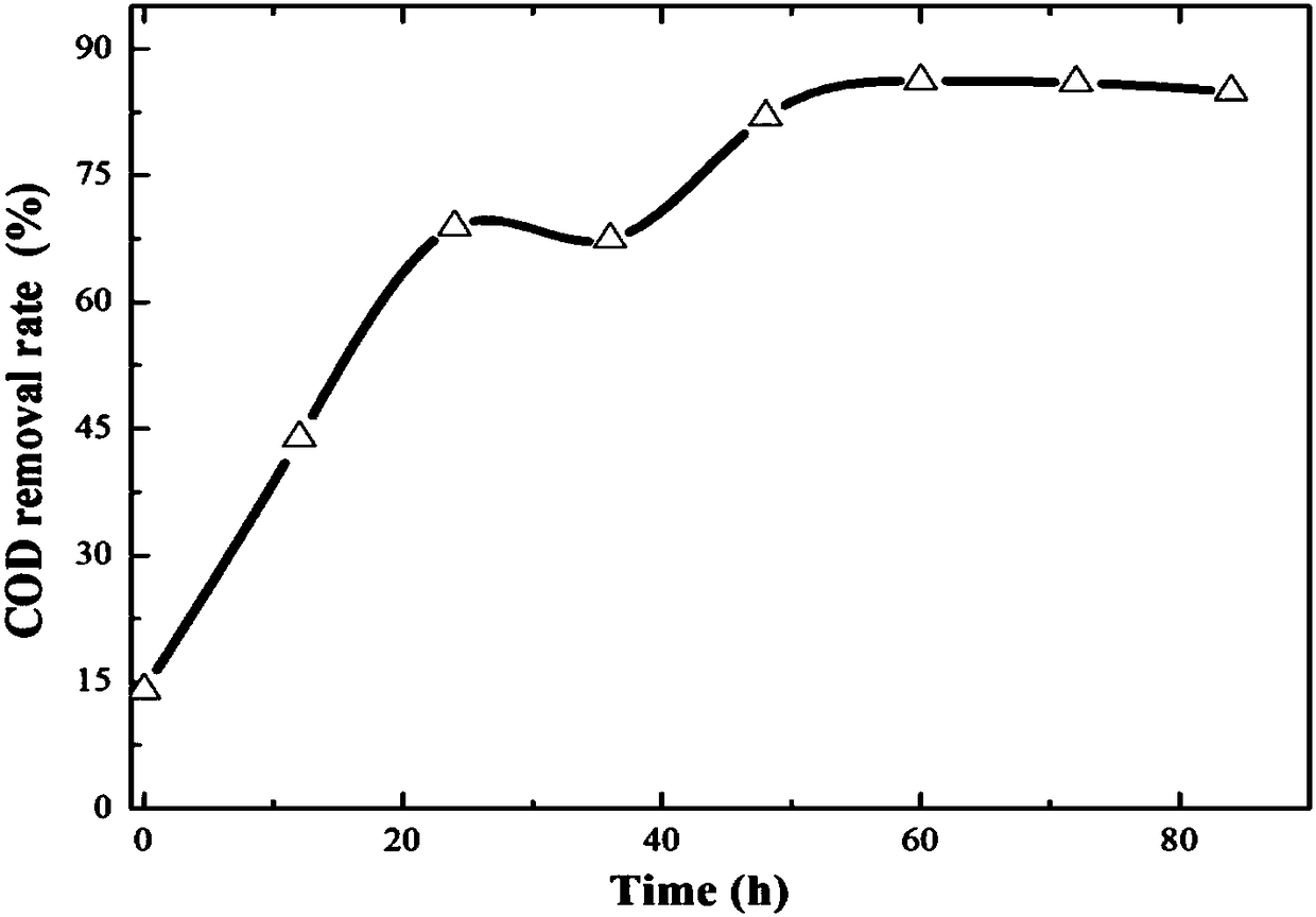 Cathode catalysis membrane coupled membrane-free microbial fuel cell for coking wastewater treatment system