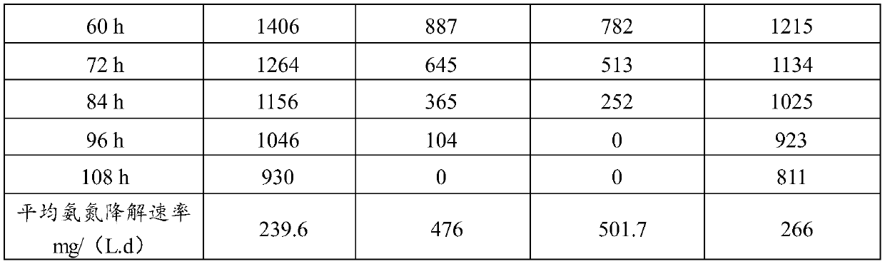 Nitrifying bacterium agent and preparation method thereof