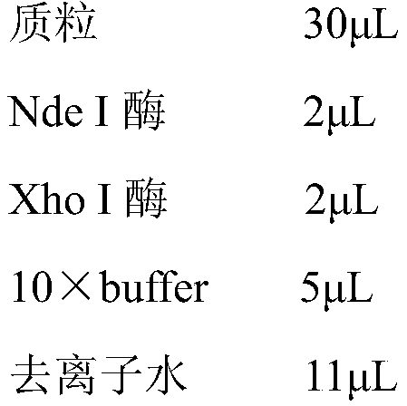 Composite enzyme and additive, their application and method for removing mycotoxin