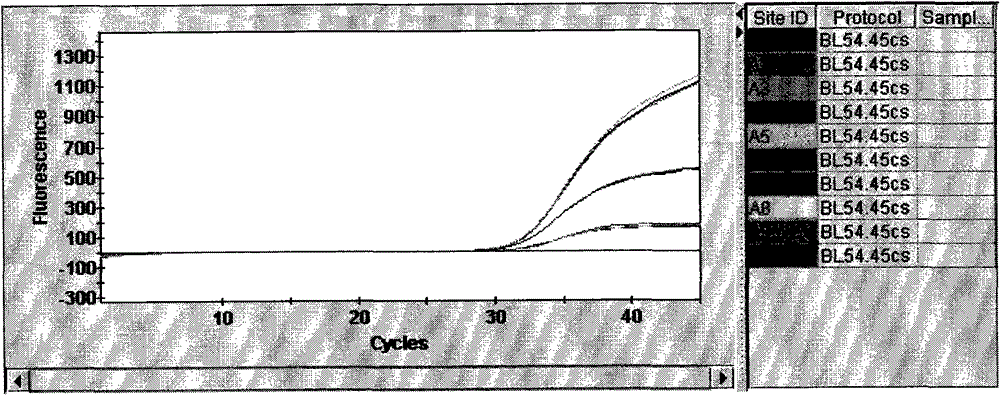 New fluorescence quantitative polymerase chain reaction (PCR) detection method for rift valley fever virus and rift valley fever virus detection PCR system