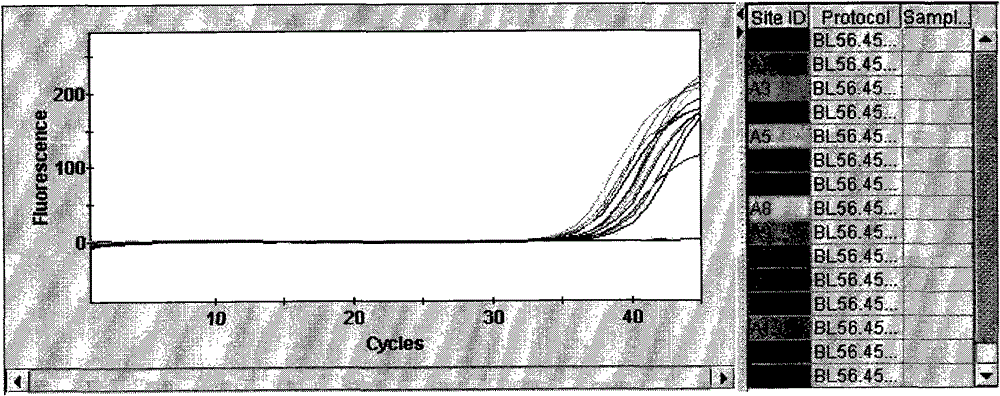 New fluorescence quantitative polymerase chain reaction (PCR) detection method for rift valley fever virus and rift valley fever virus detection PCR system