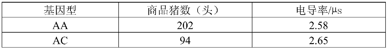 Genetic molecular marker related to pork quality electrical conductivity traits