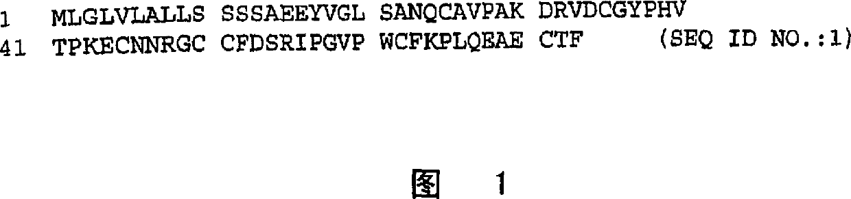 Methods and compositions for treating lesions of the respiratory epithelium