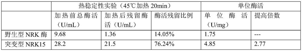 Nicotinamide riboside kinase mutant with enhanced thermal stability and activity, encoding gene of nicotinamide riboside kinase mutant, and application