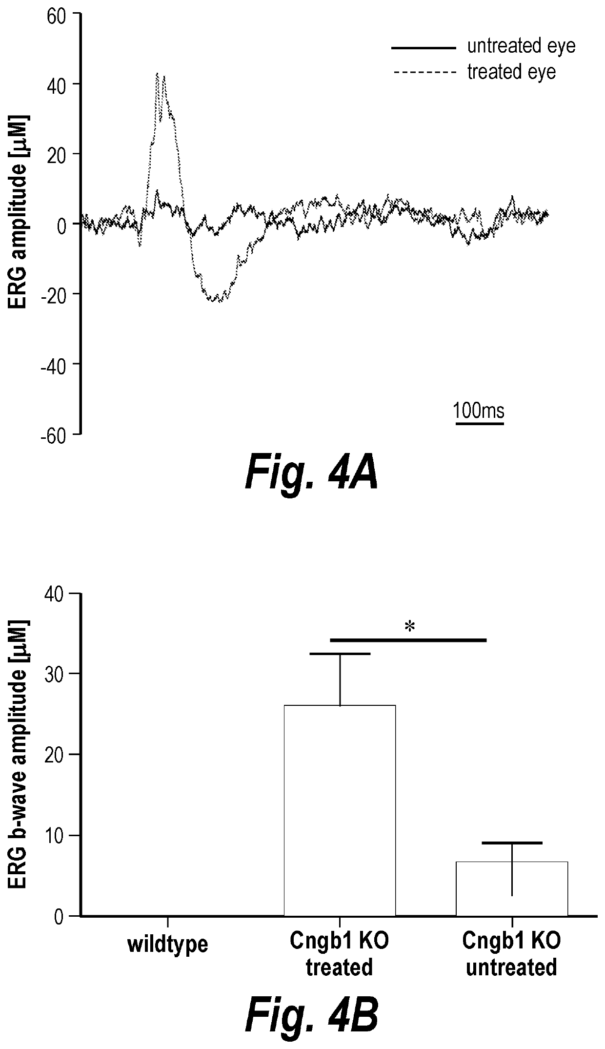 Gene Therapy for the Treatment of CNGB1-linked Retinitis Pigmentosa