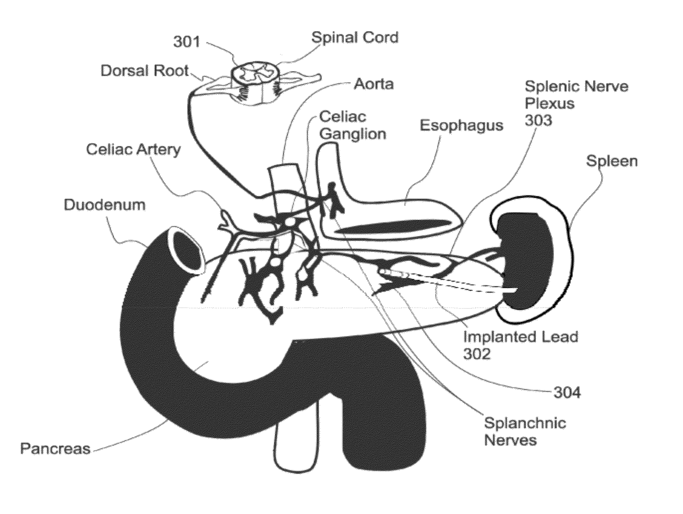 Method, system and apparatus for control of pancreatic beta cell function to improve glucose homeostasis and insulin production