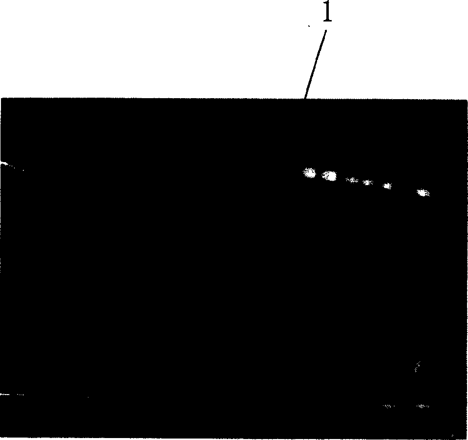 Medicinal coating production for vascular stand and electrostatic spraying apparatus