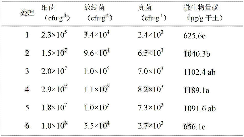 Psychrophilic microbial flora activated by cold waterlogged paddy field nutrients and preparation method of psychrophilic microbial flora