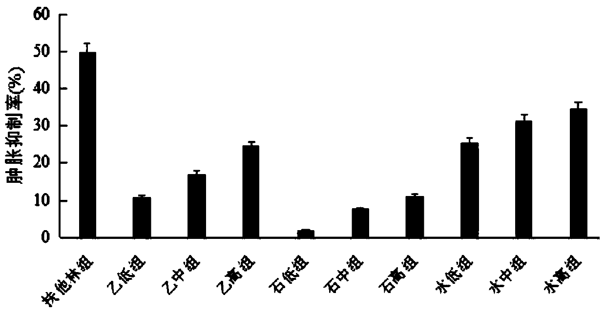 Anti-gout gel agent and preparation method and application thereof