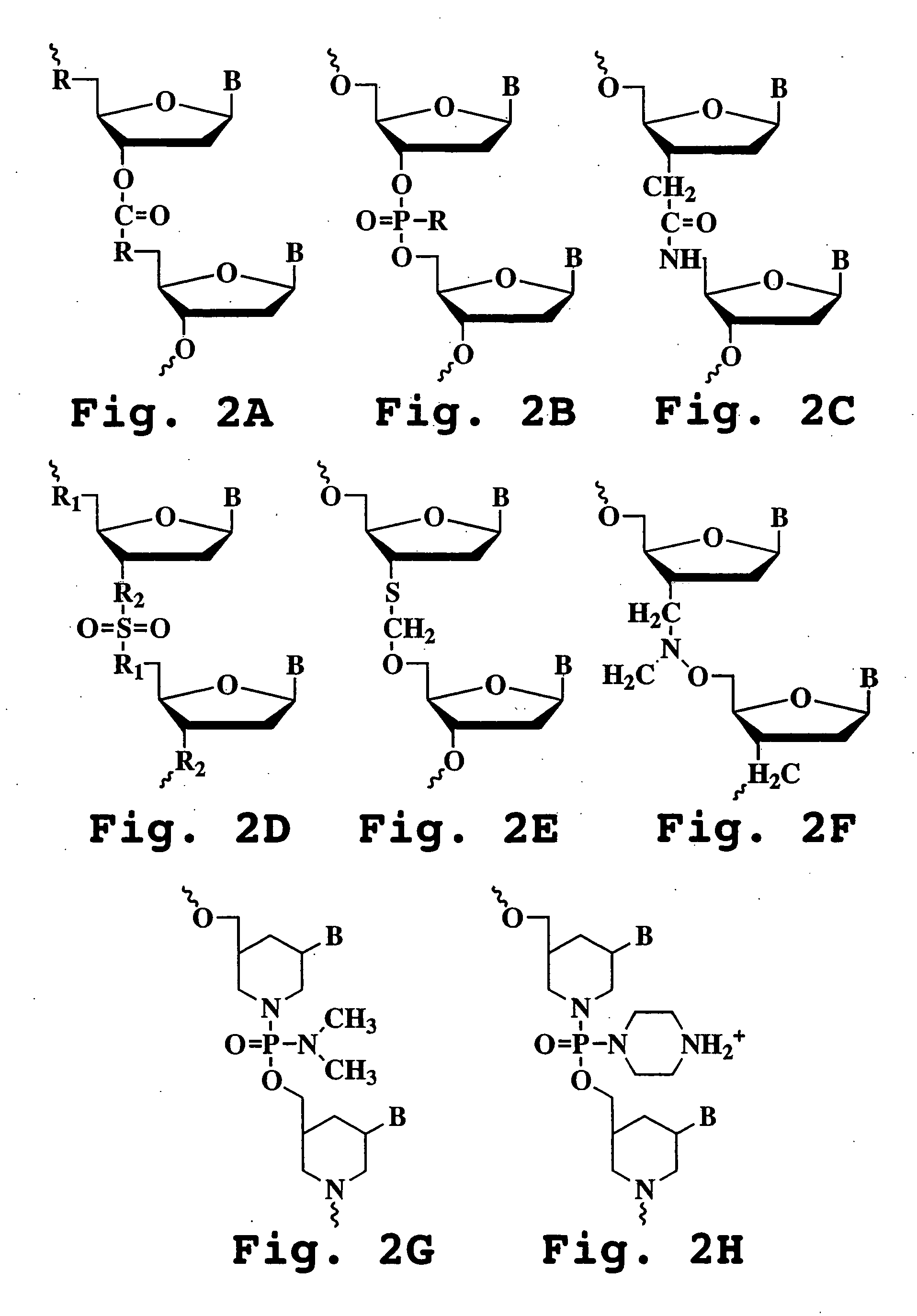 Antisense antiviral compound and method for treating influenza viral infection