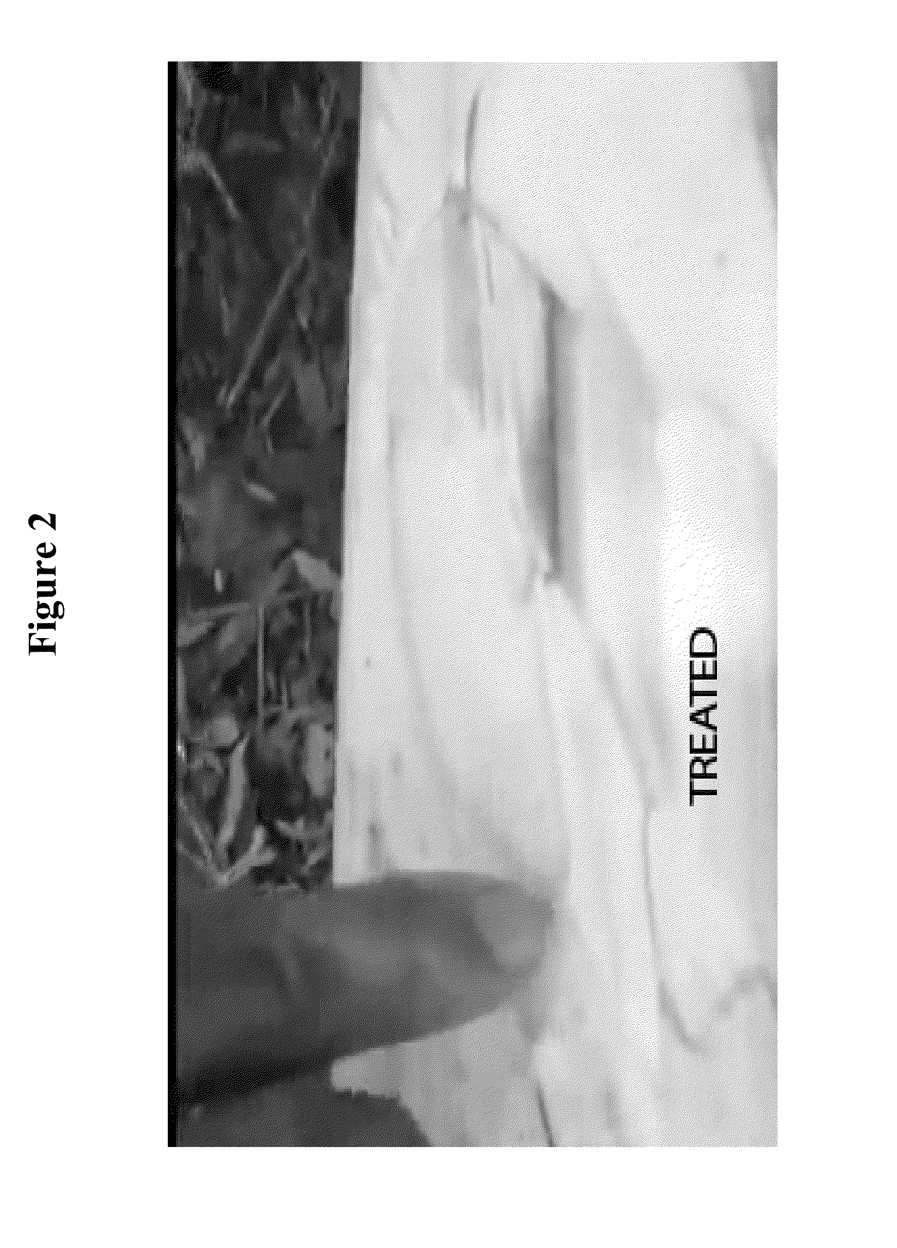 Bio-derived compositions