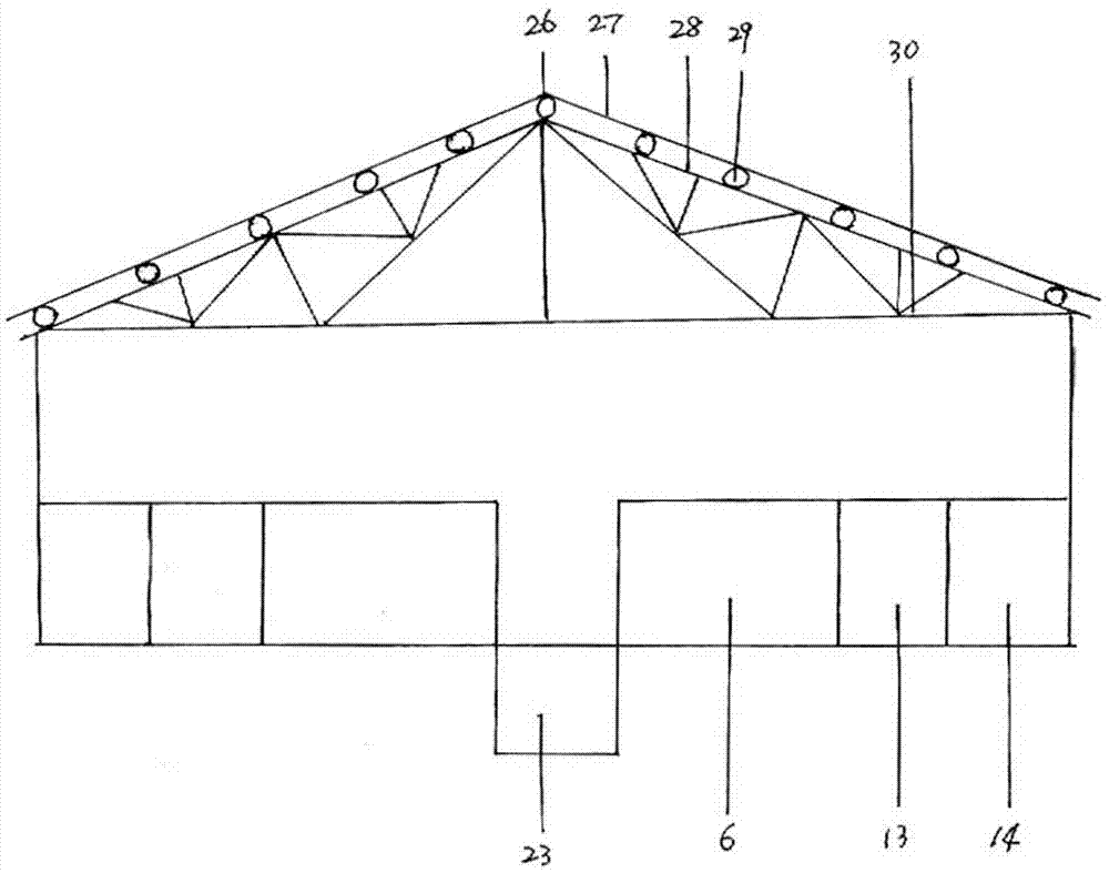 Light-transmitting biological purifying recirculating water fish culture system