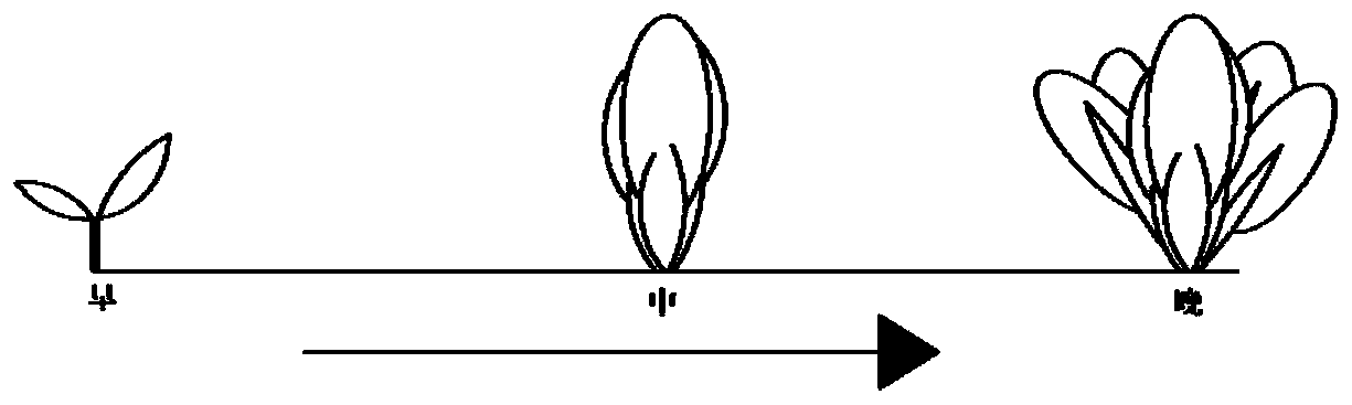 Three-dimensional shape monitoring device and method for greenhouse crops based on depth camera