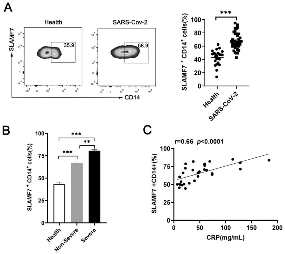 Application of SLAMF7 recombinant protein in preparation of drugs for treating new coronal pneumonia