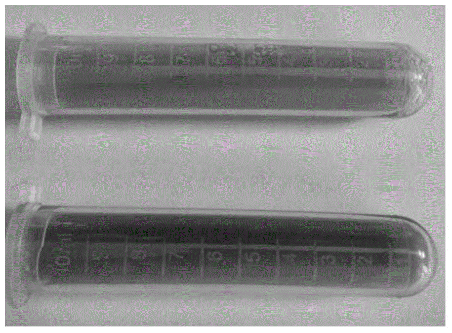 Microbial time temperature indicator used for table grape quality perception