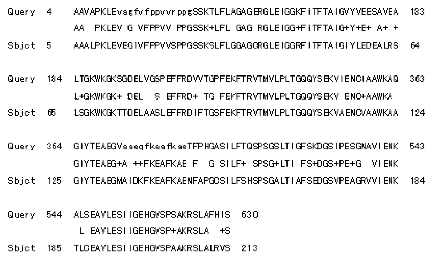 Tulip chalcone isomerase TfCHI protein and coding gene thereof and probe