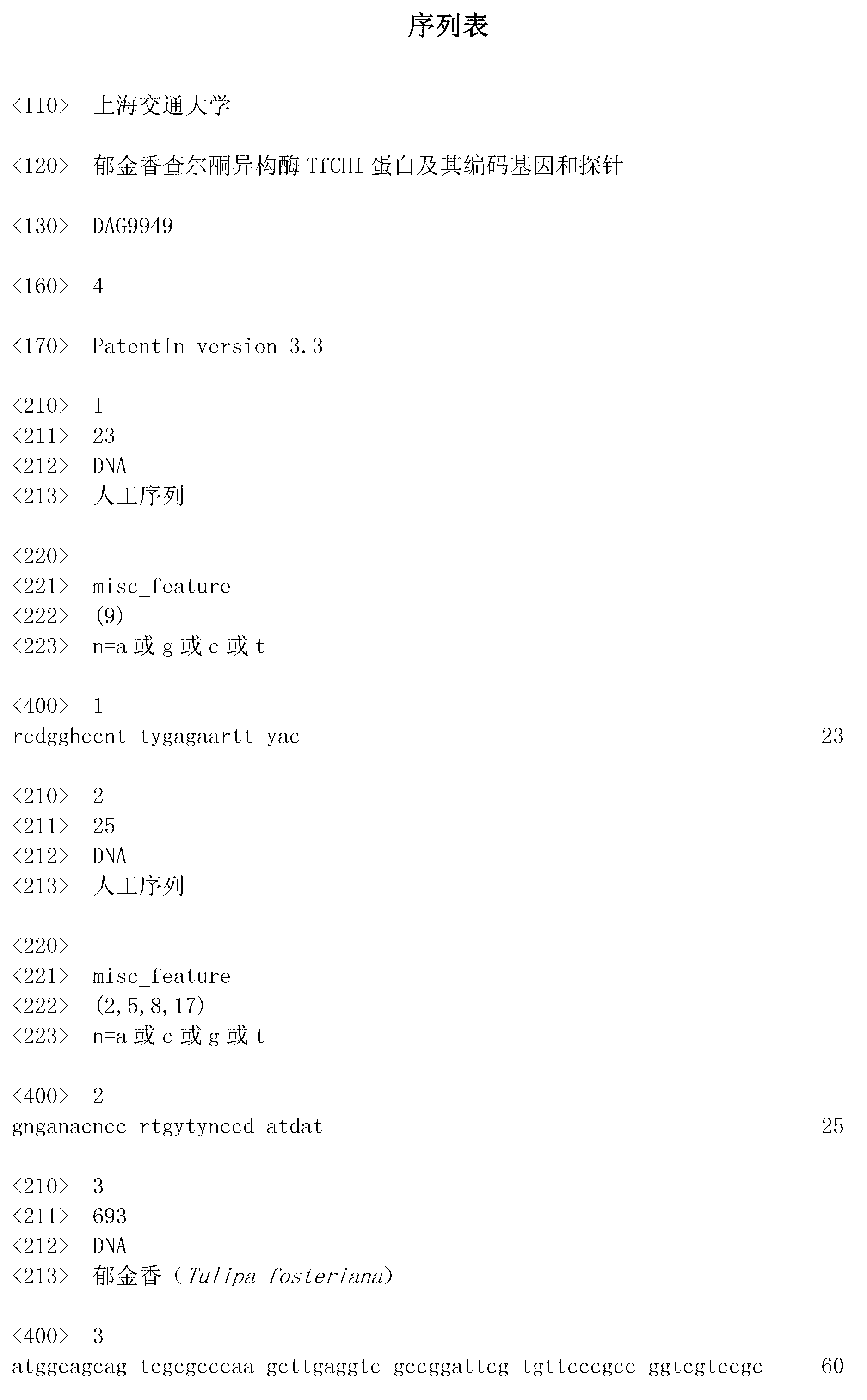 Tulip chalcone isomerase TfCHI protein and coding gene thereof and probe